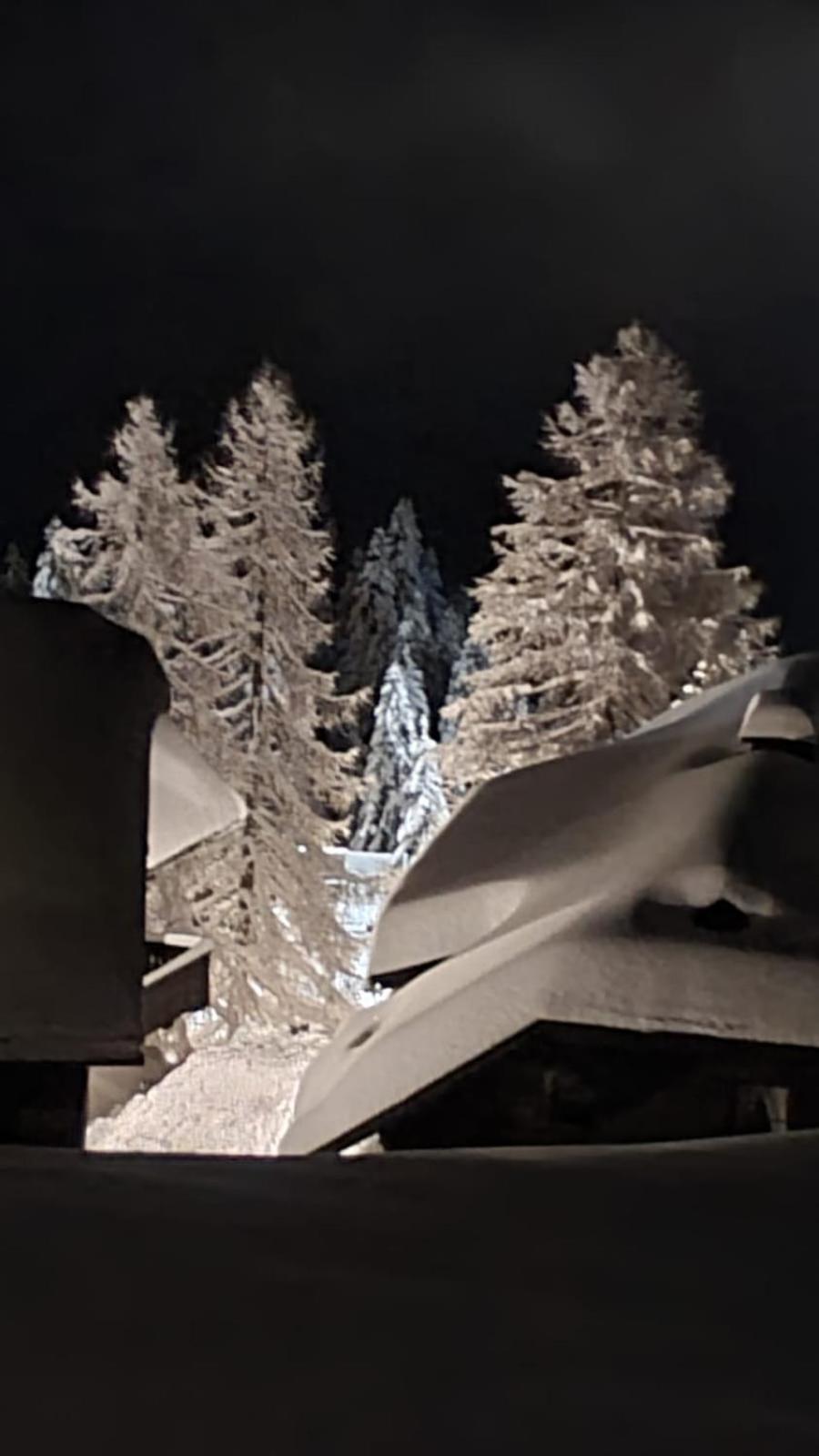 Apartment Martin Sonnenalpe Nassfeld Bagian luar foto